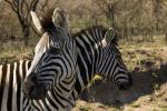 South Africa